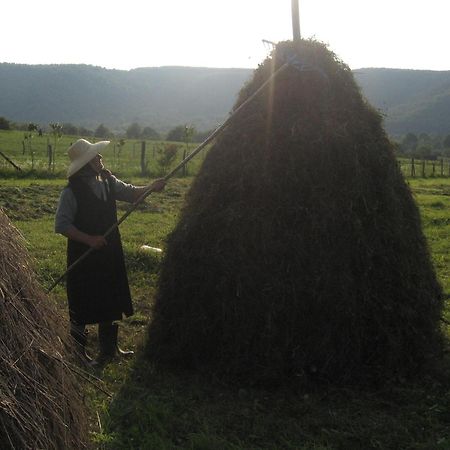 Pensiunea Irina Tilişca المظهر الخارجي الصورة